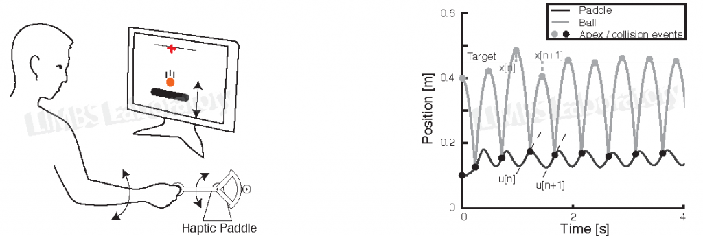 Paddle_juggling2